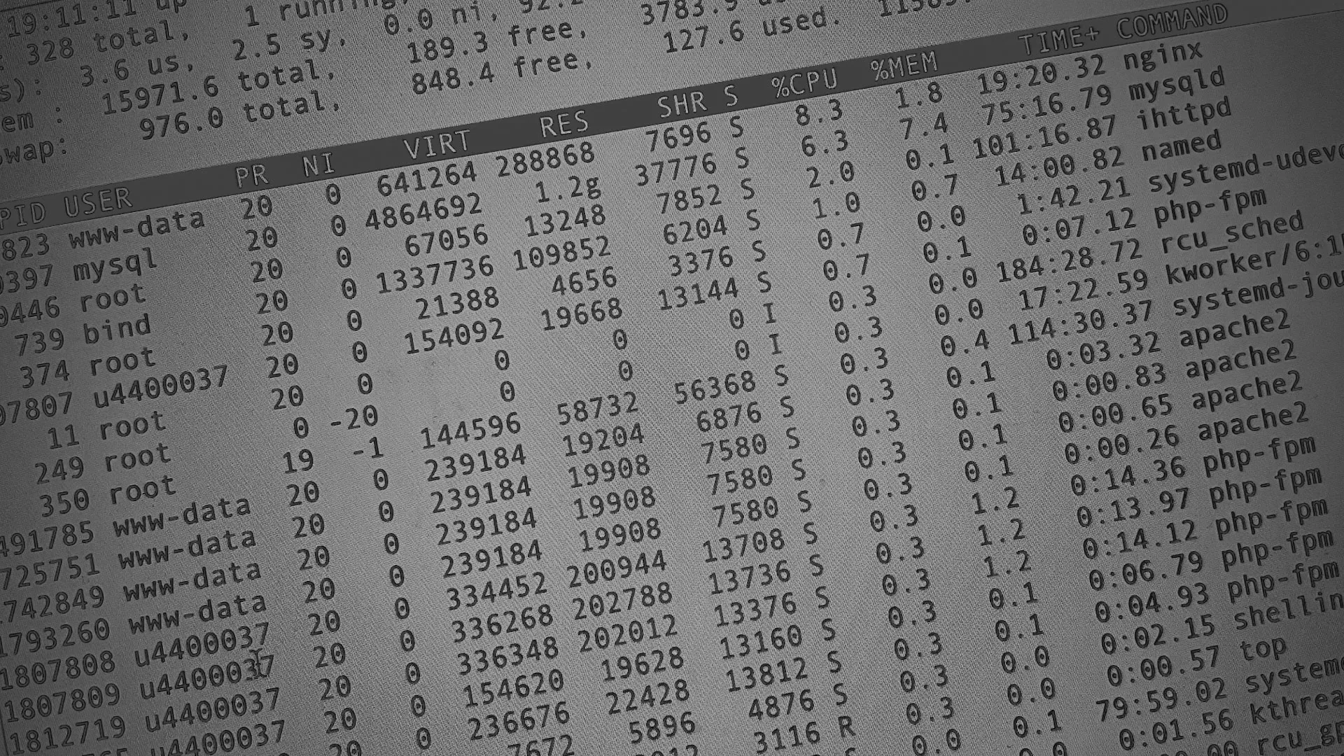 Настройка сервера в Заполярном