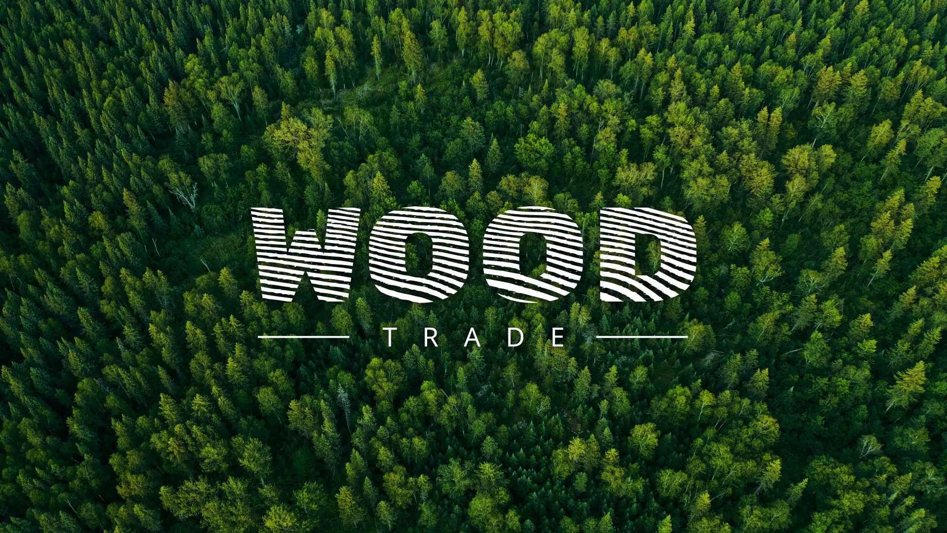 Разработка интернет-магазина компании «Wood Trade» в Заполярном
