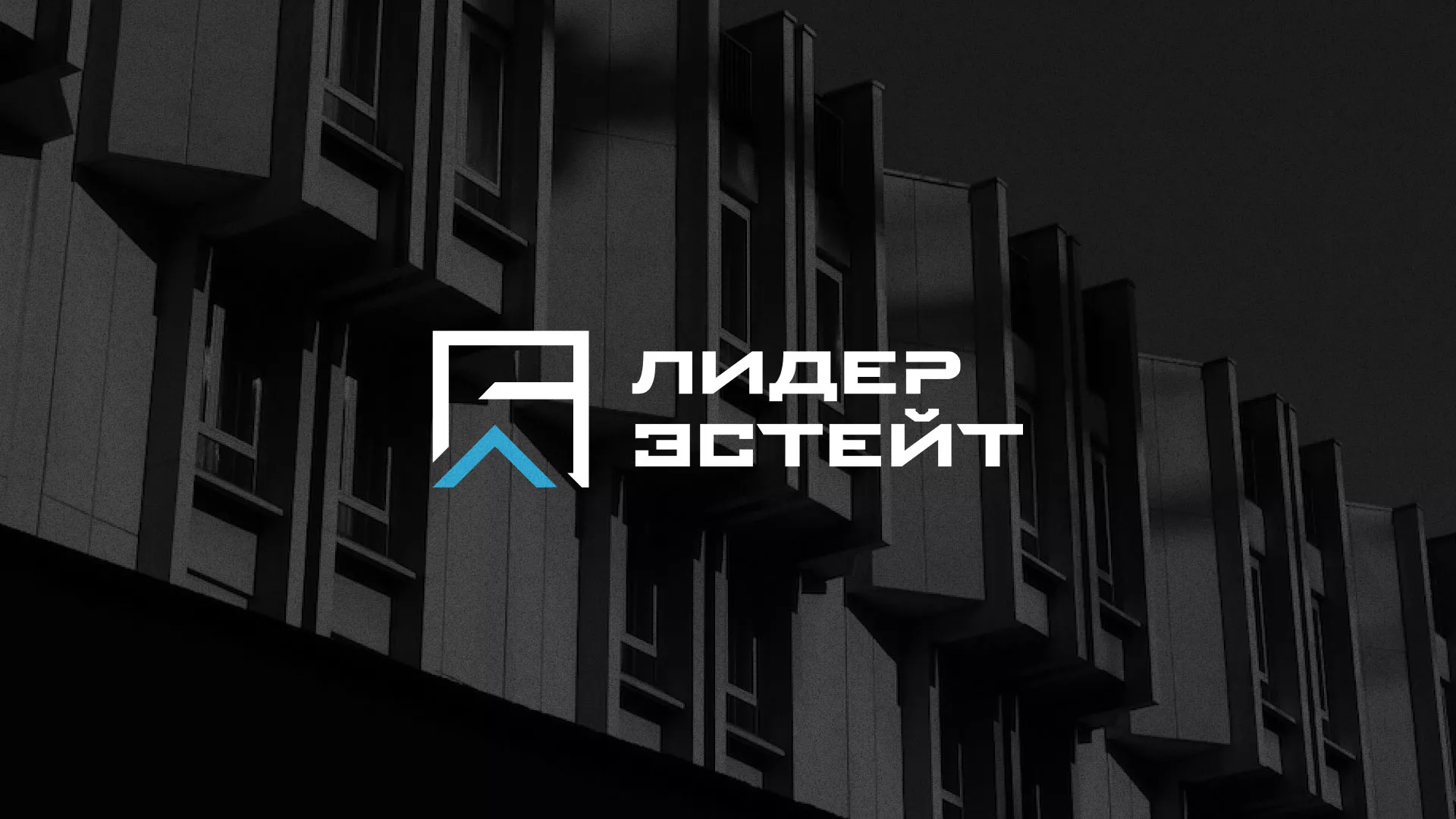 Разработка логотипа агентства недвижимости «Лидер Эстейт» в Заполярном